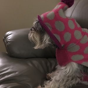 Meet your Posher, Eli